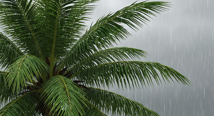 Obraz premium Vibrant green palm leaves gently illuminated by golden sunlight, creating a refreshing tropical backdrop against a clear blue sky