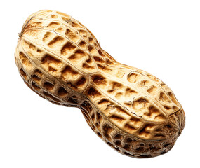 Single unshelled peanut isolated on transparent background, PNG