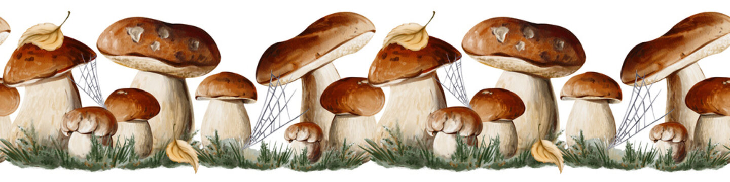 Seamless horizontal border of porcini mushrooms with forest grass, leaves, and spider web. Ideal for backgrounds, packaging, banners, and menu design. Watercolor illustration, hand painted