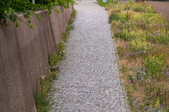 Narrow cobblestone pathway through empty alley beside wall with weeds and rough texture suggesting way route and future destination journey