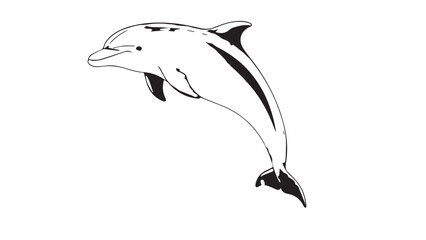 Fototapeta premium Graceful black and white dolphin illustration leaping from the ocean.
