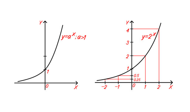 Vector illustration of exponential function graphs y = a^x and y = 2^x, Y equals two to the power of X on a Cartesian coordinate system, demonstrating exponential growth