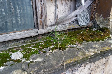Old weathered window frame in a house, time to renovate (symbolic)