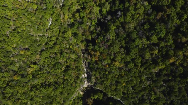 Close overhead aerial of dense forest canopy breaking into Hemmed-In Hollow waterfall with subtle variations in green foliage textures, panoramic reveal