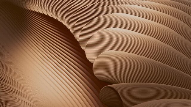 3D animation with smooth lines that move and curve, forming an intricate pattern that fills the entire frame in the end. The file contains Alpha Channel.