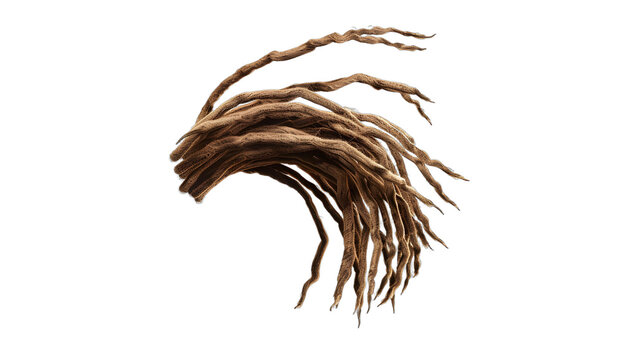 dreadlock png