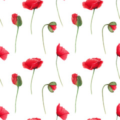 Obraz premium Seamless pattern of red poppies with buds on stems. Watercolor botanical illustration. Wild poppy festival. Hand-drawn isolated background. Remembrance, spring, and Labor Day. For fabric and textiles.