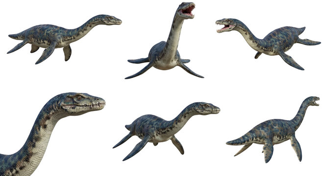 set of a plesiosaurus in different poses, swimming, roaring and hunting isolated on a transparent background