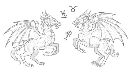 Fototapeta premium Zodiac sign dragons astrology symbols mythical creatures
