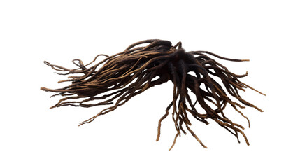 Obraz premium dreads hair png
