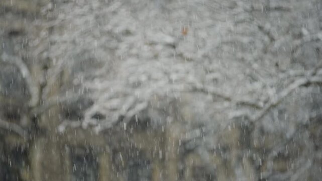 Close-up of Snow Falling in City