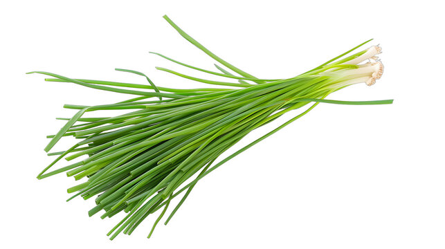 chives png