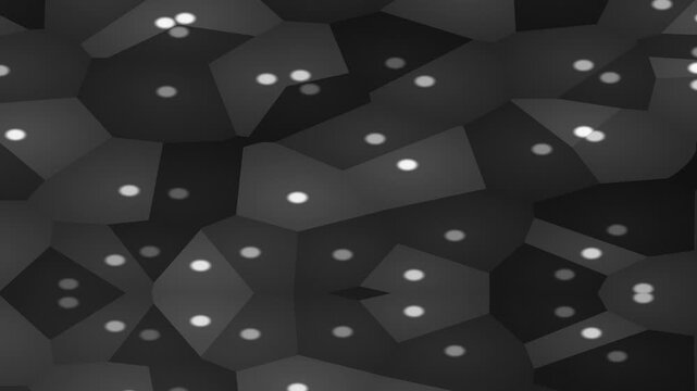 An abstract gray-scale tessellation pattern featuring irregular polygons and luminous dots