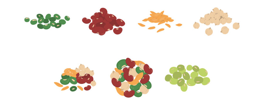 Pile of red kidney beans, green beans, peas, chickpeas, oat for world pulses day illustration. Vector isolated.