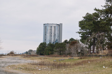 Obraz premium Tower and building rise above a wide field with trees, creating a quiet landscape that blends urban contrast with natural open space under a calm sky.