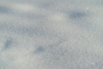 Obraz premium Frosty snow tones, Ambient icy landscape featuring soft shades and undulating textures, Cool color palette showcasing delicate snow contours against subdued blue shadows