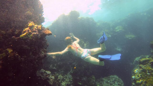 slow motion underwater ocean bottom to top view of a Caucasian woman female free diving wearing bikini fin snorkel holding on coral reef rock swimming accenting up to the surface on sunny day time
