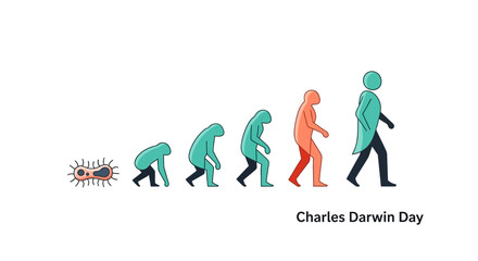 Evolution graphic illustration of human evolution from ape to modern human on Charles Darwin Day with a tree of life concept and finches icon in a flat, colorful style against a clean white