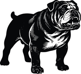 Engraved  Standing pose of bulldog silhouette 