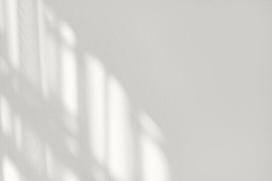 Soft neutral light wall background with natural sunlight shadow silhouette from window, elegant backdrop in trendy color 2026, template for business branding design with blank copy space