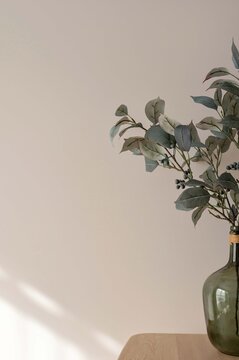 Minimal aesthetic home interior decor detail. Green vase with olive tree branch on wooden table, empty neutral beige plaster wall background with natural sunlight shadows. Sustainable interior design