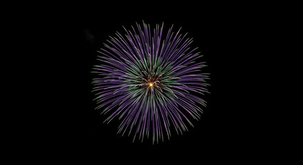 Fototapeta premium Firework Burst