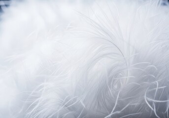 Obraz premium A detailed macro shot revealing the intricate delicate texture of soft white down feathers, ideal for plush pillow stuffing and deep comfort bedding, upholstery, pure, relaxation