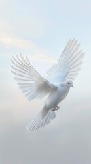 Fototapeta premium Soaring white bird against soft sky background