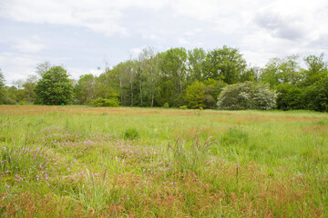 Obraz premium German countryside landscape, Lower Rhine Region, Germany