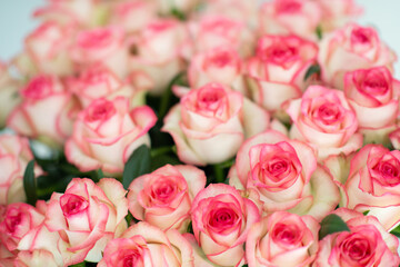 Beautiful bouquet of fresh pink roses with delicate petals, arranged closely together. Romantic floral background perfect for weddings, Valentine&rsquo;s Day, anniversaries, and special celebrations