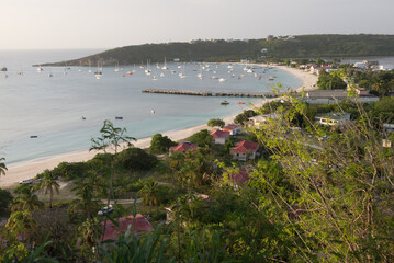 Caribbean beach in Anguilla with sailboats and lush greenery