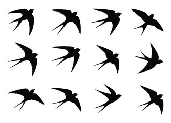 Fototapeta premium Swallow, martlet. Love letter birds with bows. Barn swallow flying, wings spread. Hirundo rustica on white background. Wildlife. Tattoo design set, wild animals, free