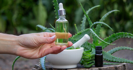 Female hand holding a serum bottle against aloe vera plant and mortar background