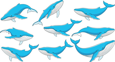 Blue whale illustration collection featuring ocean marine mammals in swimming poses isolated on white background vector wildlife design set © ROWSHON HABIB