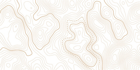 Fototapeta premium Abstract topo contour map on white background,Topographic map Topographic contour lines map seamless pattern. Topography background. Vector banner. Topo.