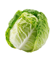 Fototapeta premium A whole green cabbage sits on a plain background. This vegetable can be used in salads, soups, or stir-fry dishes. Cabbage is a common ingredient in kitchens around the world.
