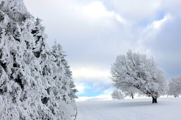 Idyllische Winterlandschaft Auf Dem Schauinsland