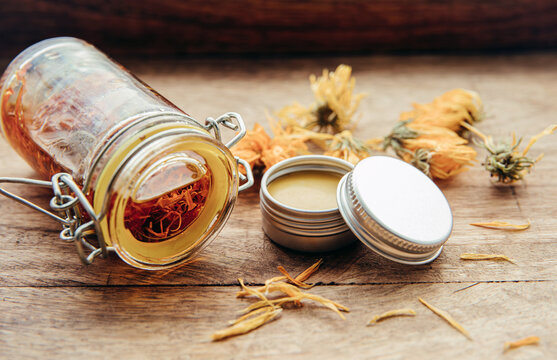 Making homemade Calendula officinalis common marigold cold infusion oil in glass jar and handmade medicinal salve in metal jar. Dry flowers are soaked in olive oil at room temperature. 