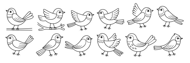  collection of twelve hand drawn outline birds in various © Kosn