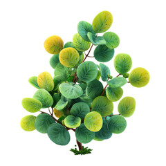 Eucalyptus plant detail: a lush, detailed shot of an elegant eucalyptus plant, revealing its smooth, round, vibrant green and yellow-toned leaves and sturdy brown branches
