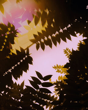 autumn leaves background