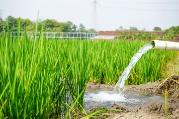 Keuken achterwand Rijstvelden Irrigation of rice fields using pump wells with the technique of pumping water from the ground to flow into the rice fields. The pumping station where water is pumped from a irrigation canal system.  © Faris Fitrianto