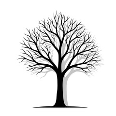 Obraz premium Bare Tree Silhouette with Shadow on White Background