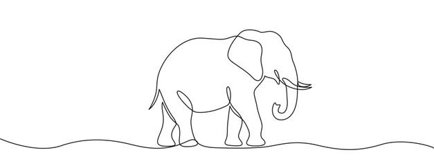 Elephant in line art style. Minimalist drawing of a large animal with tusks, made in a continuous line. Vector illustration. © chekman