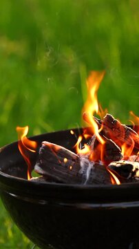 Vertical Close Up of Barbecue Fire in Spring Garden with Panning Right