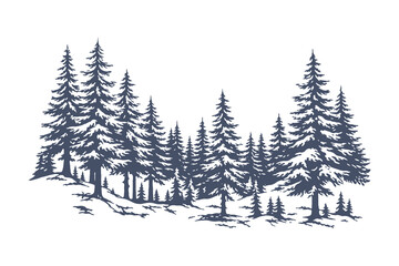 Obraz premium Dense Pine Forest Landscape with Tall Evergreen Trees and Conifer Woodland in a Minimalist Linocut Style Black and White Vector Illustration