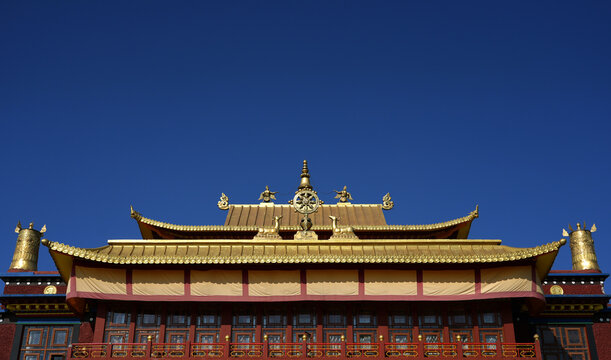 Bokar, Ngedhon Choekhor Ling Monastry at Mirik, West Bengal, India. 2025