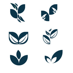 Fototapeta premium vector illustration of a leaf sugar elements icon green