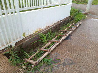 Bamboo ladder by roadside drainage ditch