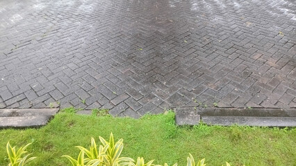 Wet herringbone brick pavement beside green lawn after rain